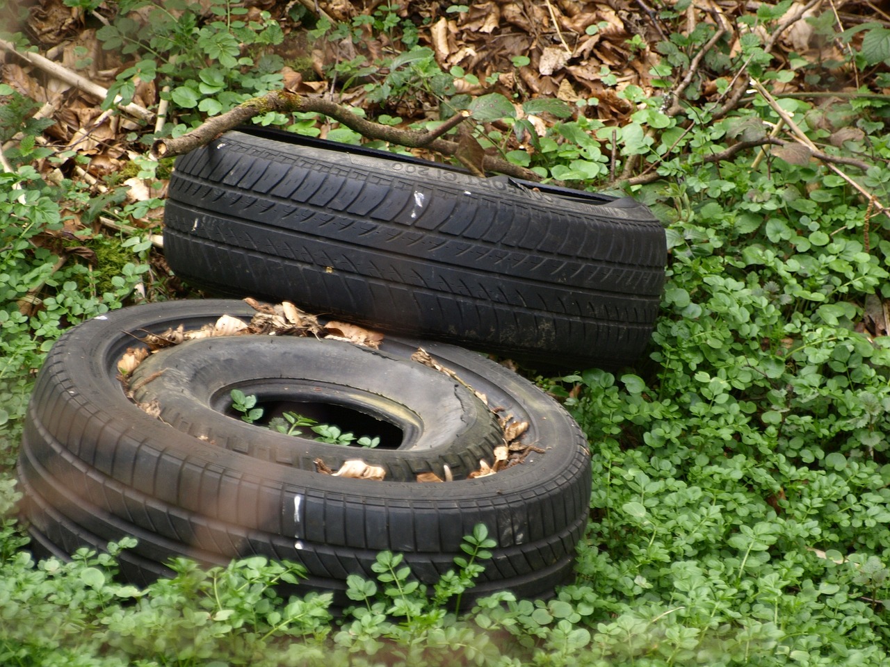 The Importance of Environmental Impact Assessment in Construction
